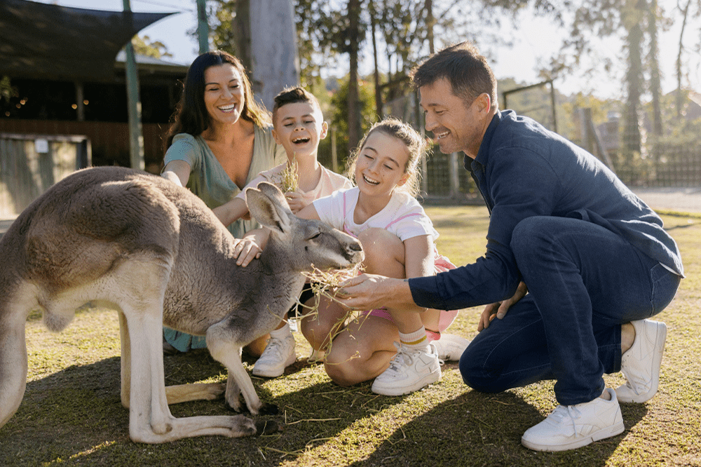 Paradise Country Farmstay | Accommodation | Village Roadshow Theme Parks